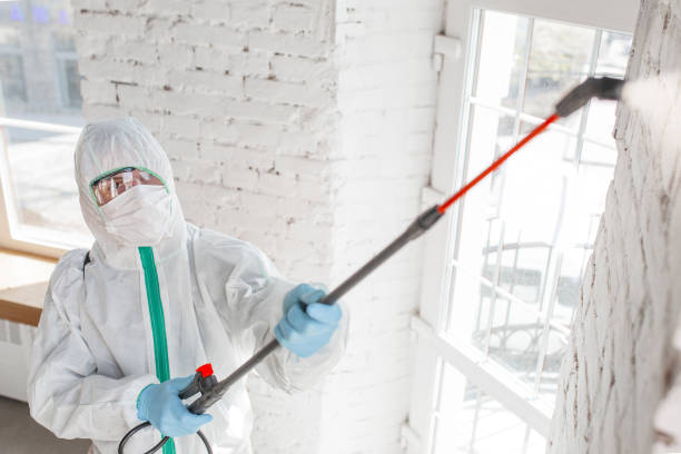 Best Asbestos and Lead Testing During Mold Inspection  in St Clair, MI